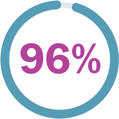 96% icon